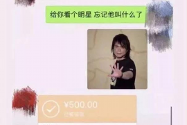 穆棱遇到恶意拖欠？专业追讨公司帮您解决烦恼